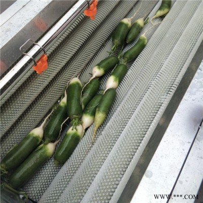 义康MQX-1500型 橙子打蜡设备 沙参清洗设备  番薯去皮清洗加工设备图2