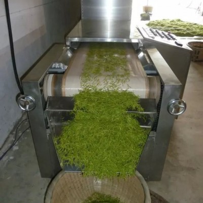 供应辣椒加工设备 蔬菜杀菌机**服务，品质保证-微波杀菌设备图4