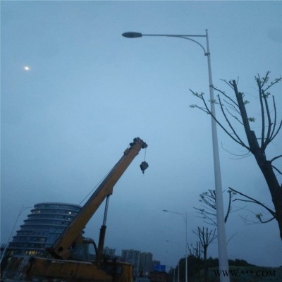 监控杆件加工 摄像设备监控立杆_专业制作图2