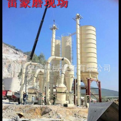 郑州磨粉机 **雷蒙磨 超细雷蒙磨粉机 超细粉加工设备图2