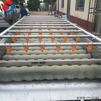 欧业 果蔬清洗加工流水线 净菜加工流水线 果蔬清洗加工流水线 净菜加工成套设备图2