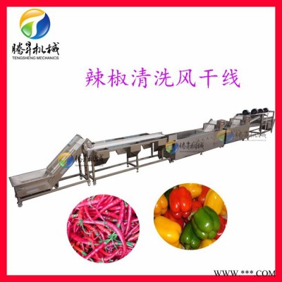 腾昇定制款大型全套果蔬加工设备 生姜/黄姜加工机 果脯加工生产流水线图3