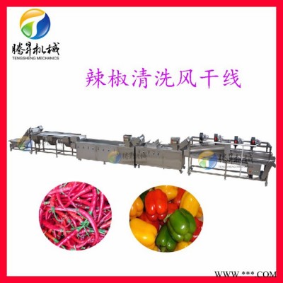 腾昇定制款大型全套果蔬加工设备 生姜/黄姜加工机 果脯加工生产流水线图4