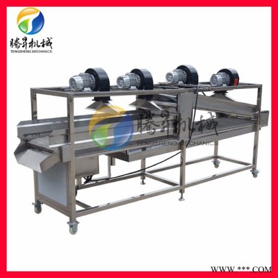 腾昇定制款大型全套果蔬加工设备 生姜/黄姜加工机 果脯加工生产流水线图2