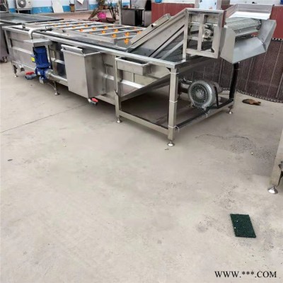 景翔牌 玉米加工清洗机 芸豆清洗机 香菇清洗加工设备图6