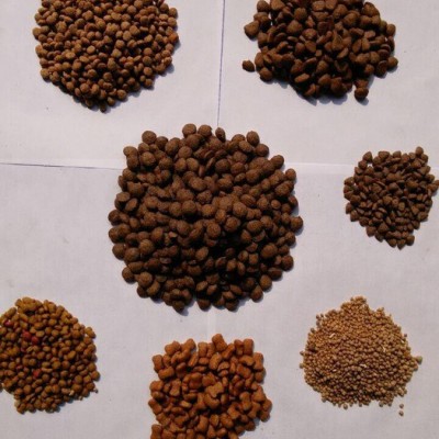 小型饲料膨化机  家用膨化饲料机器 鱼饲料加工设备曲阜科阳价图2