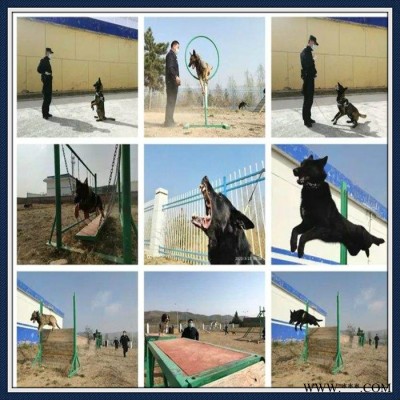 生产加工 训犬障碍设备 军犬训练器械 跳高架图6