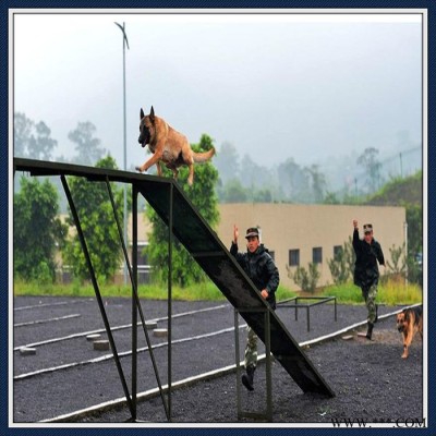 生产加工 训犬障碍设备 军犬训练器械 跳高架