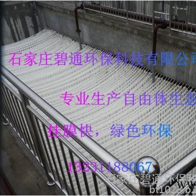 碧通环保设备加工 自由体生态基填料 生态浮岛填料生态螺旋填料图6
