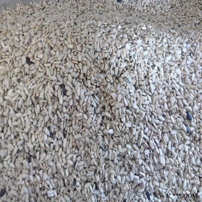 俏牌机械油葵籽脱壳机 阿拉山口油葵油葵加工设备俄罗斯油葵剥壳设备图6