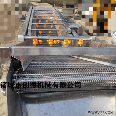 菠菜大叶菜清洗机 蔬菜清洗机 净菜加工设备图3