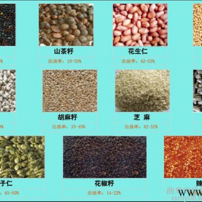 科阳牌新型大型榨油机  食用油加工设备质量保证图2