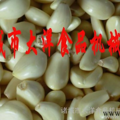 供应大蒜加工流水线/大蒜加工设备/图1