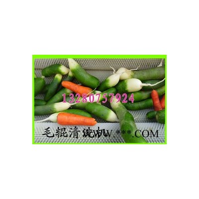 诸城佳品供应胡萝卜清洗机，胡萝卜加工设备，红胡萝卜清洗设备图6