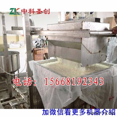 绵阳豆腐干加工设备，豆腐干自动生产设备，生产豆腐干设备，自动上料，自动泼脑图2