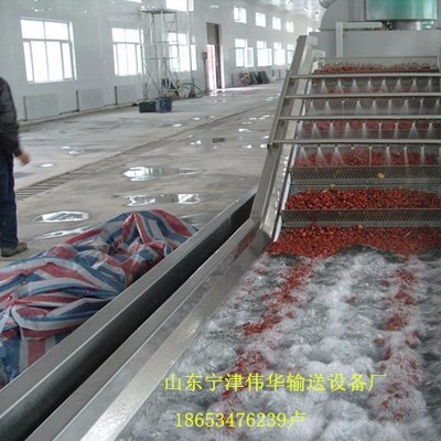 伟华，wh1000,蔬菜加工设备,网带图2