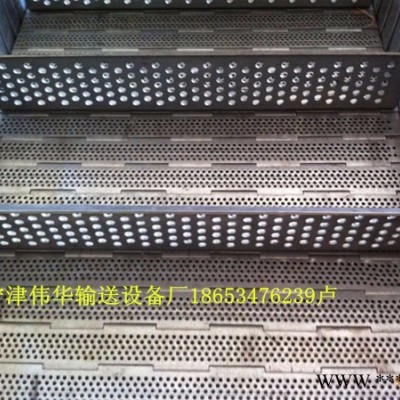伟华，wh1000,蔬菜加工设备,网带图7