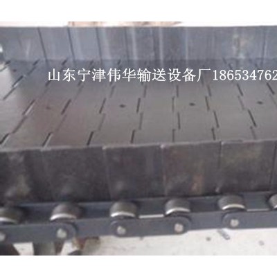 伟华，wh1000,蔬菜加工设备,网带图4