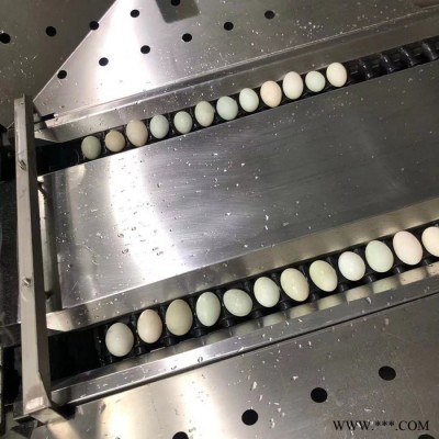 全自动泥蛋清洗设备  小型清洗风干线  鸡蛋清洗加工设备厂家图3