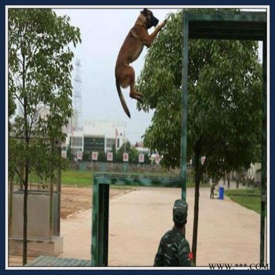 生产加工,训犬障碍设备,警犬基地训练器材,三角板断桥图4