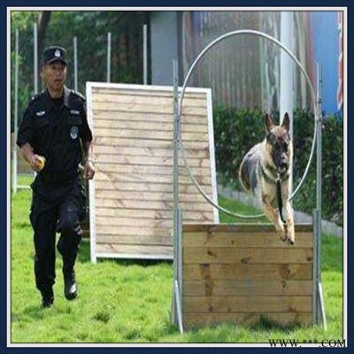 生产加工,训犬障碍设备,警犬基地训练器材,三角板断桥图7
