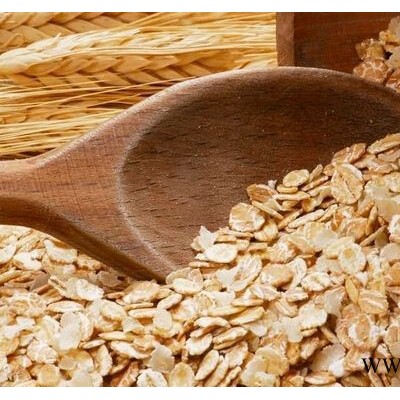 中科集团厂家直供环__保型6FB系列麦片加工设备行情价格__面向四川欢迎来电咨询图5