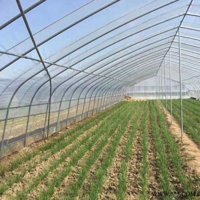 异形钢加工大棚骨架生产设备温室大棚用钢管图4