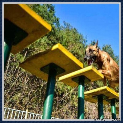 生产加工,训犬障碍设备,警犬训练匍匐地笼,跳高圆筒架图5