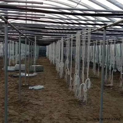 大棚管加工 乐山 蚯蚓养殖棚 大棚骨架生产设备图7