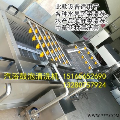 全自动连续清洗机、果蔬设备、蔬菜加工设备 大型食品清洗线 厂家定做直销图2