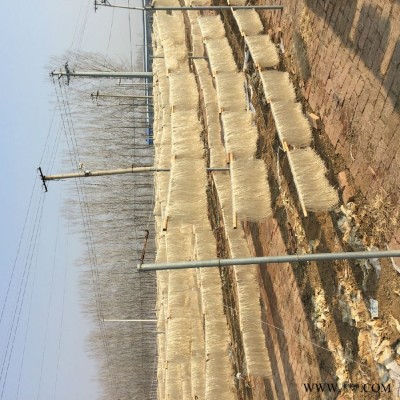扁粉  西藏蒸汽加热红薯加工设备图8