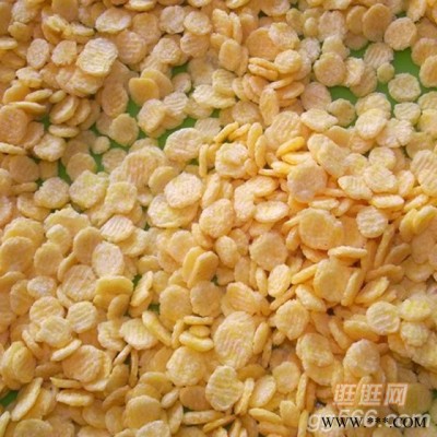 济南盛润机械TSE-65 玉米片设备 玉米片加工设备 燕麦片加工机器 玉米片设备生产线 玉米片休闲食品生产设备图8