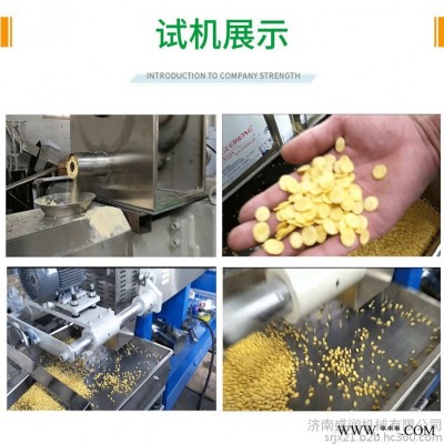 济南盛润机械TSE-65 玉米片设备 玉米片加工设备 燕麦片加工机器 玉米片设备生产线 玉米片休闲食品生产设备图3