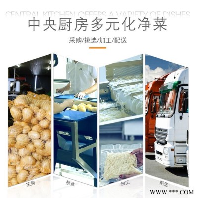 赣云净菜流水线中央厨房配套加工设备厨房设备 中央厨房清洗机 厨房洗菜机图3