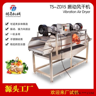 腾昇TS-ZD15 全自动蔬菜水果风干机食品加工设备图4