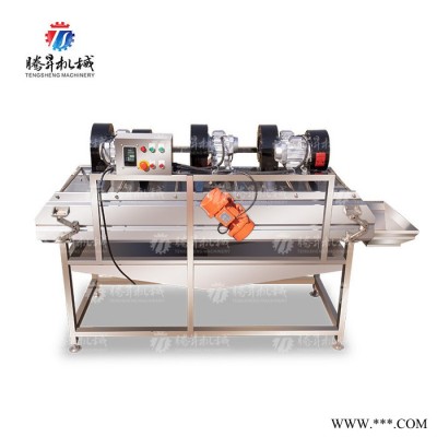 腾昇TS-ZD15 全自动蔬菜水果风干机食品加工设备图2
