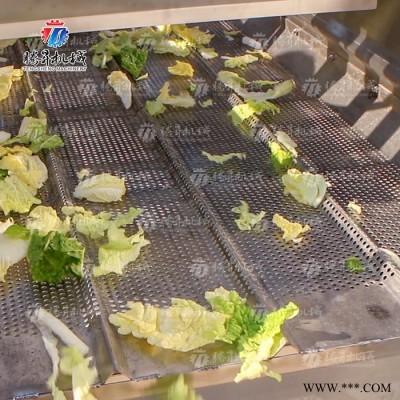 腾昇TS-ZD15 全自动蔬菜水果风干机食品加工设备图5