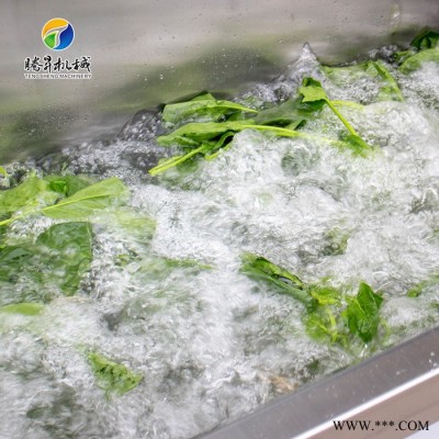 腾昇供应TS-AZ食品加工设备 小型食品清洗设备 香菇自动清洗机 豆芽清洗机图8