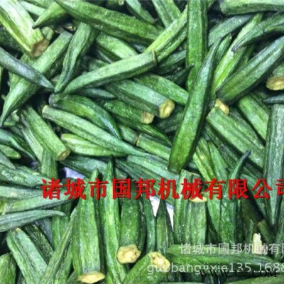 国邦GB-700海南椰子脆加工设备 蔬果加工设备 真空油炸机型号图6