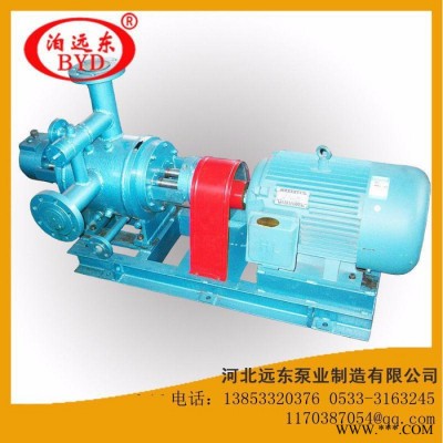 泊远东W/V W2.1zk24w72双螺杆泵,油脂输送泵图2
