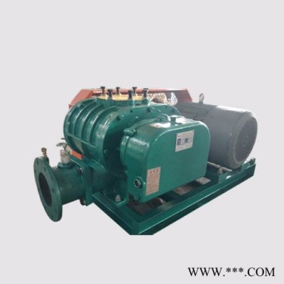 低噪音罗茨风机 YGSR-300A罗茨风机  水产养殖风机  罗茨风机报价图3