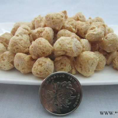 盛润TSE75-S素肉蛋白膨化机  组织蛋白加工设备   大豆蛋白肉加工机械图4