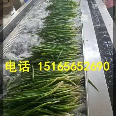 泡菜脱盐清洗机、泡菜腌制菜清洗机、腌制菜蔬菜清洗设备 果蔬加工设备图1