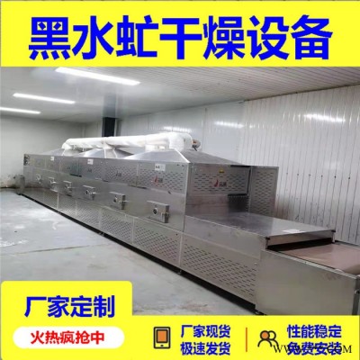 黑水虻微波烘干设备定制加工 黄粉虫烘干设备 功率定制图4