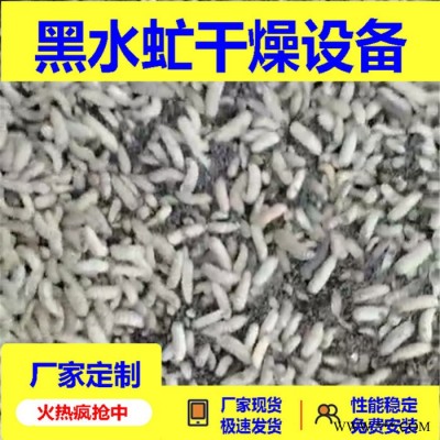 黑水虻微波烘干设备定制加工 黄粉虫烘干设备 功率定制图2