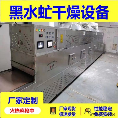 黑水虻微波烘干设备定制加工 黄粉虫烘干设备 功率定制图5
