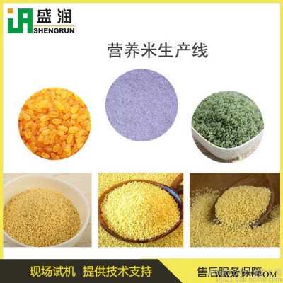 盛润TSE-85 营养方便米饭生产设备  人造冲泡速食米加工设备 保健米生产机械  五谷杂粮营养米生产机械图4