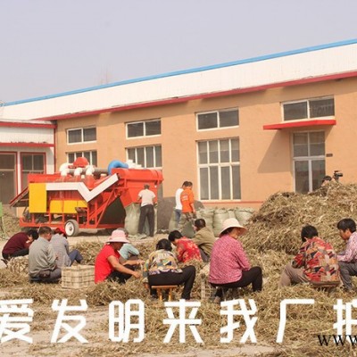 花生秧除膜揉切机 秸秆饲料加工设备 勇杰机械图4