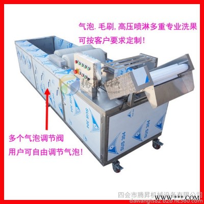 广东腾昇机械厂家水果加工设备 水果清洗分级机 柠檬清洗机 山竹分级机价格图2