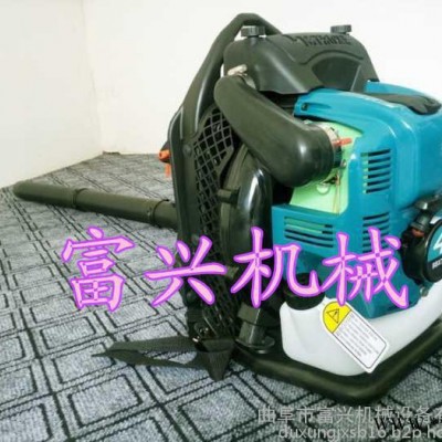 背负式吹风机    汽油吹风机价格 工业吹风机图6